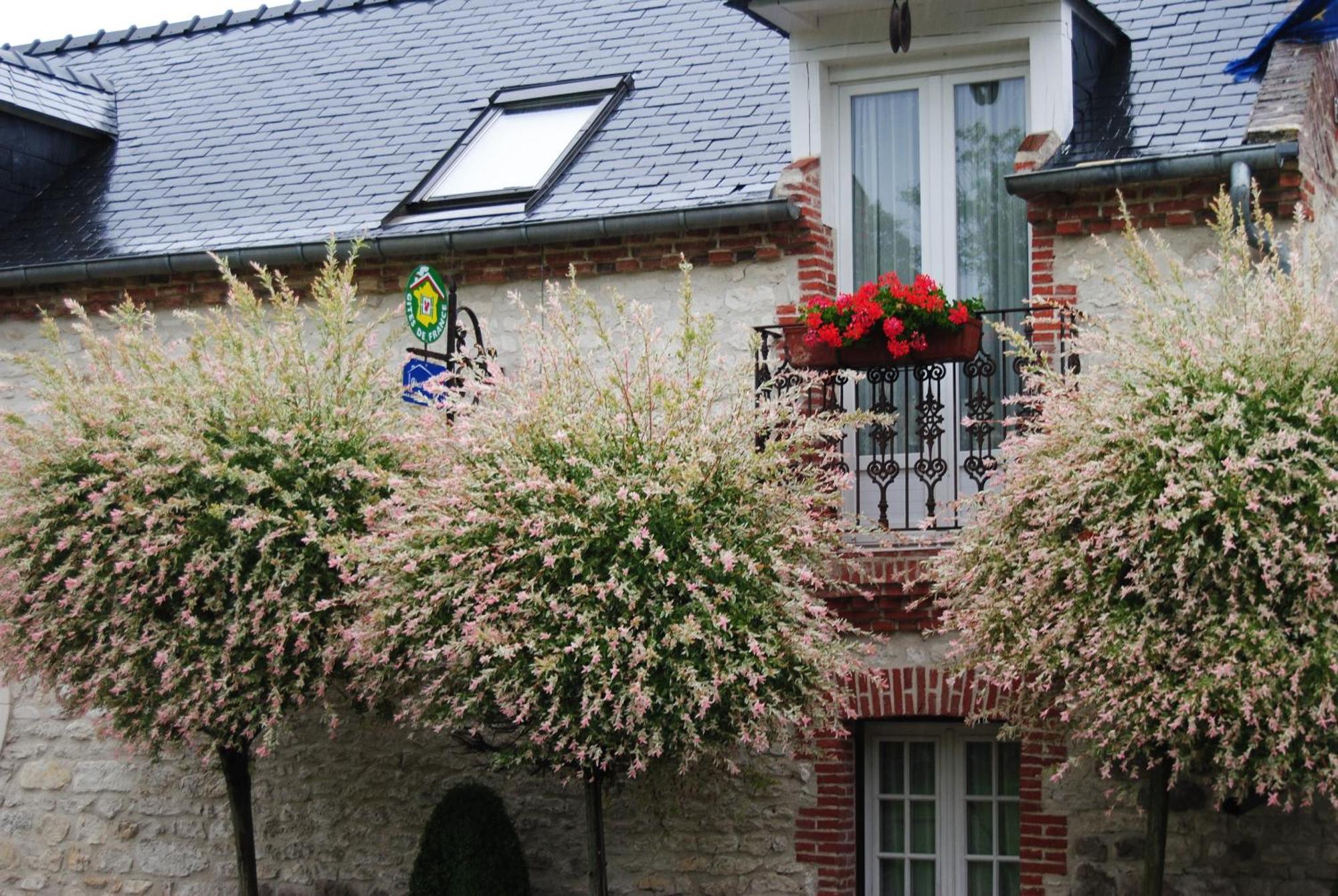 Le Grand Logis - Guest House - Bed And Breakfast Marchais  ห้อง รูปภาพ